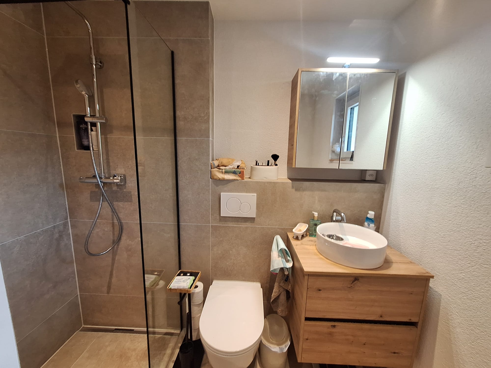Badezimmer-Totalsanierung in Wädenswil